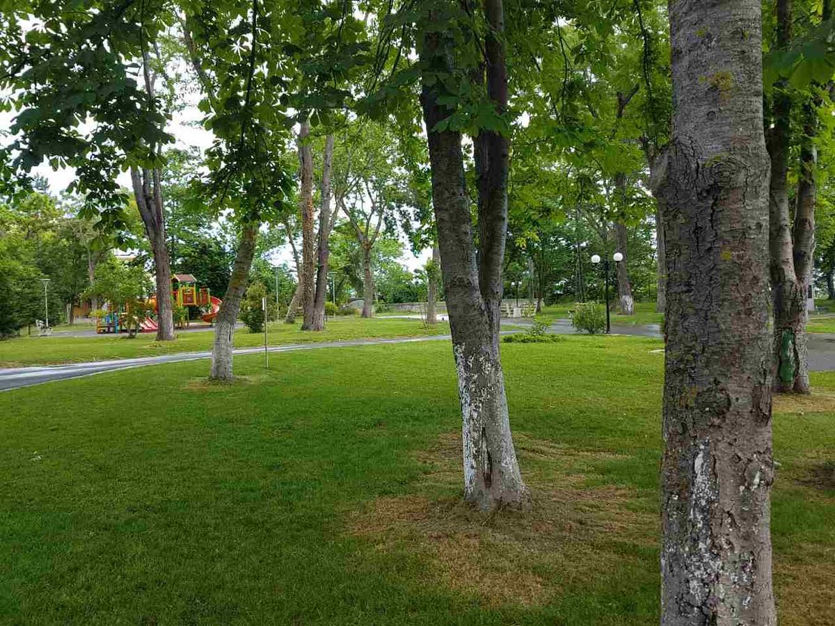 Villa Salena Primorsko Bagian luar foto